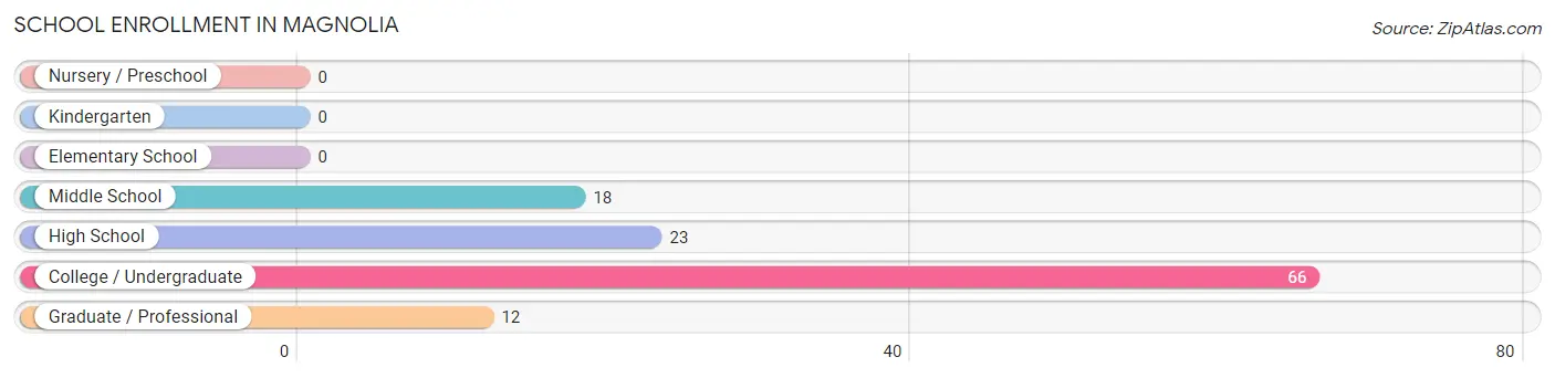 School Enrollment in Magnolia