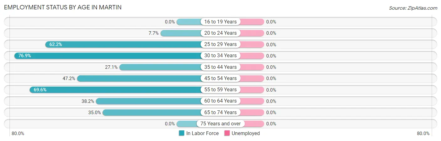 Employment Status by Age in Martin