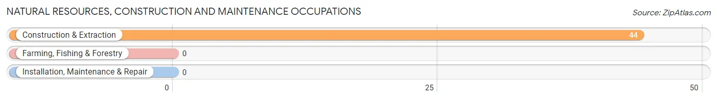 Natural Resources, Construction and Maintenance Occupations in McCarr