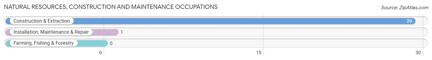 Natural Resources, Construction and Maintenance Occupations in McKee