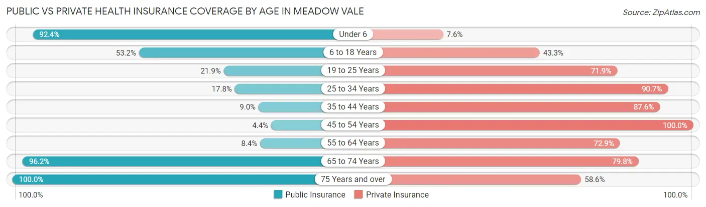 Public vs Private Health Insurance Coverage by Age in Meadow Vale