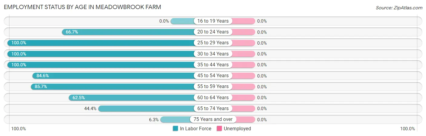 Employment Status by Age in Meadowbrook Farm