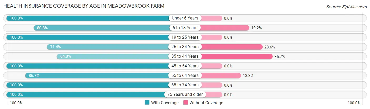 Health Insurance Coverage by Age in Meadowbrook Farm