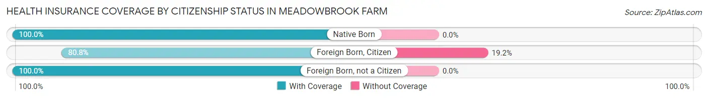 Health Insurance Coverage by Citizenship Status in Meadowbrook Farm