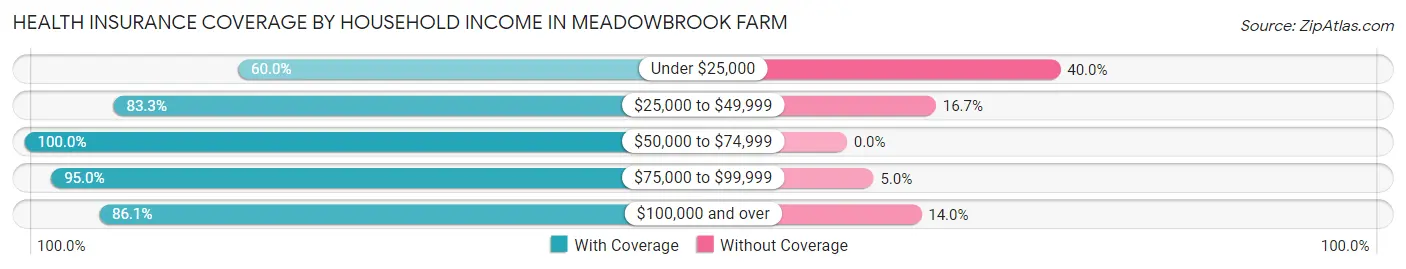 Health Insurance Coverage by Household Income in Meadowbrook Farm