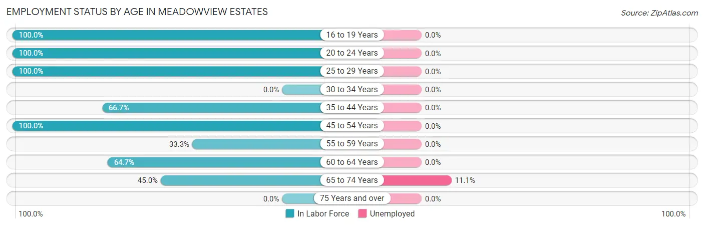 Employment Status by Age in Meadowview Estates