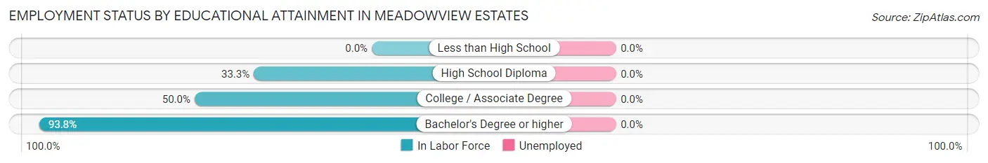 Employment Status by Educational Attainment in Meadowview Estates