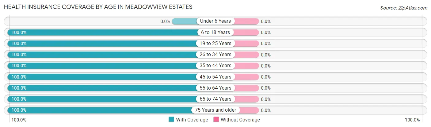 Health Insurance Coverage by Age in Meadowview Estates