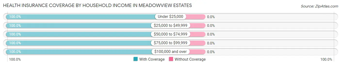 Health Insurance Coverage by Household Income in Meadowview Estates