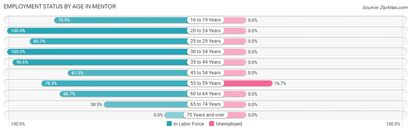 Employment Status by Age in Mentor
