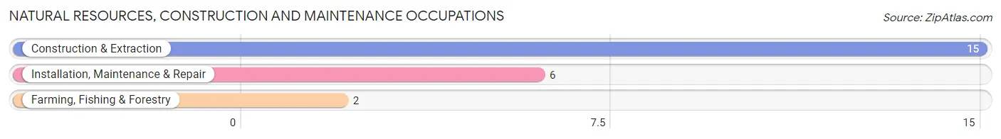 Natural Resources, Construction and Maintenance Occupations in Mentor