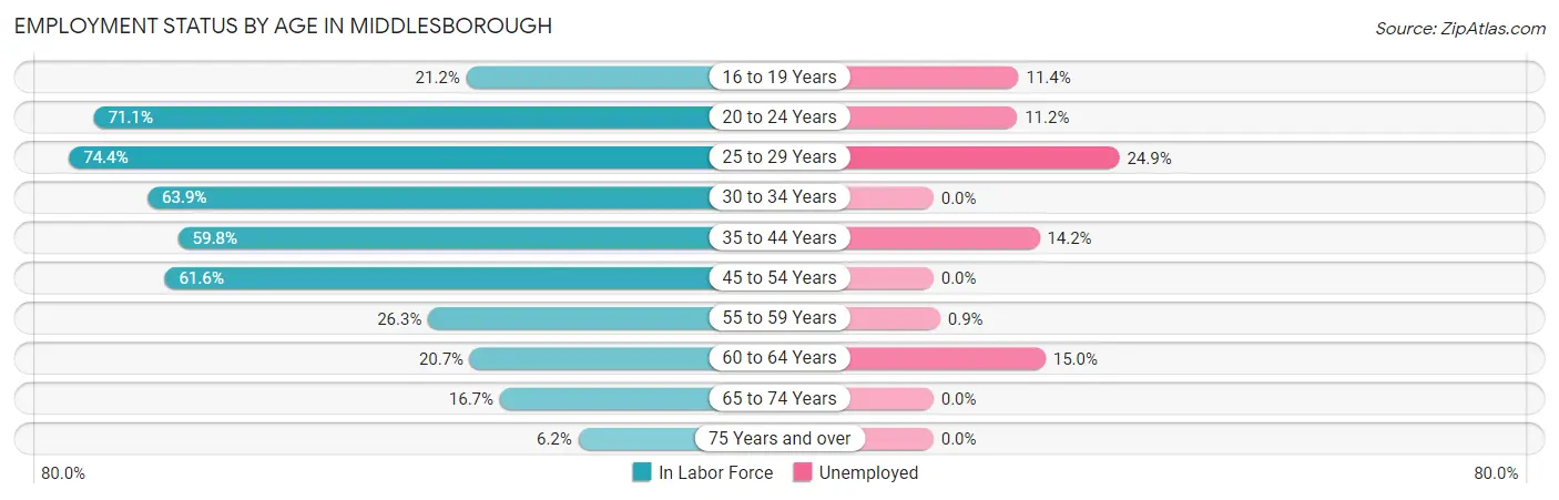 Employment Status by Age in Middlesborough