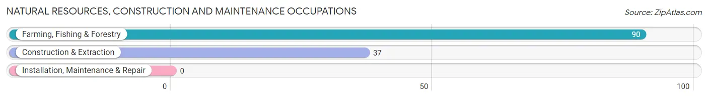 Natural Resources, Construction and Maintenance Occupations in Monticello