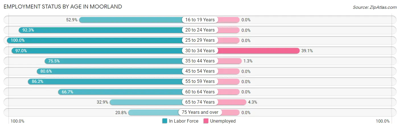 Employment Status by Age in Moorland