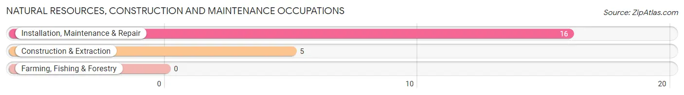 Natural Resources, Construction and Maintenance Occupations in Moorland