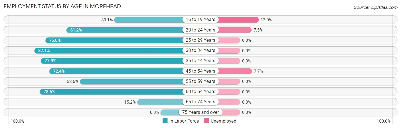 Employment Status by Age in Morehead