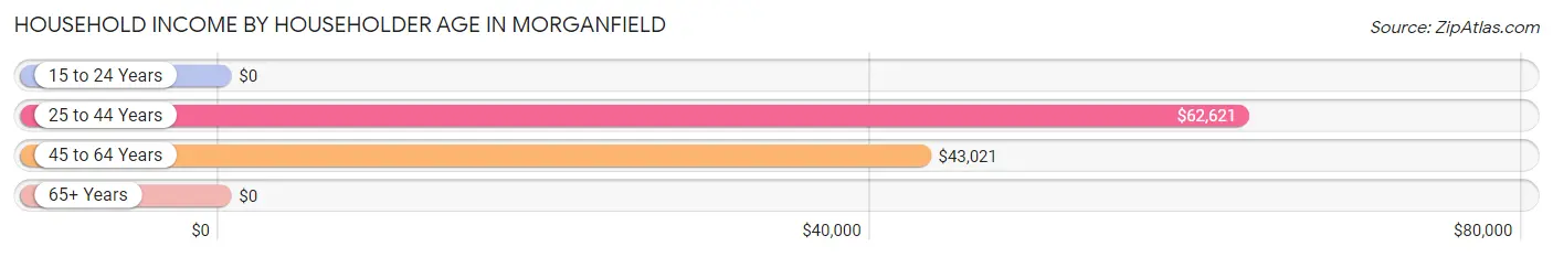 Household Income by Householder Age in Morganfield