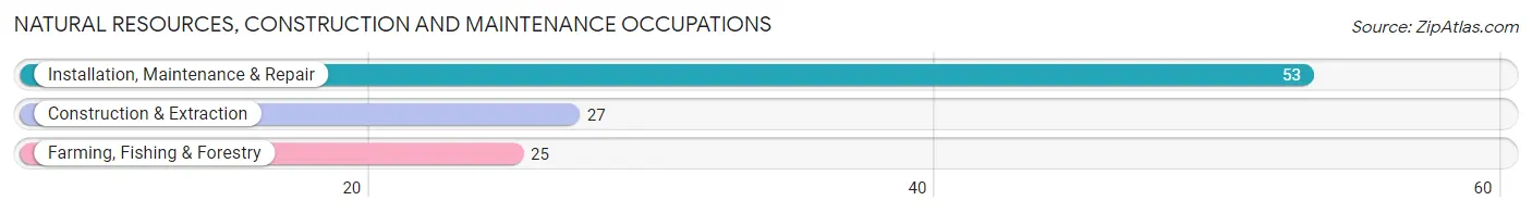 Natural Resources, Construction and Maintenance Occupations in Morgantown