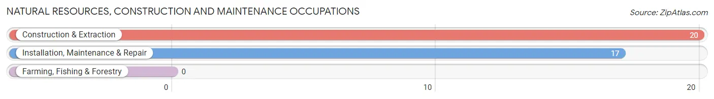 Natural Resources, Construction and Maintenance Occupations in Mortons Gap