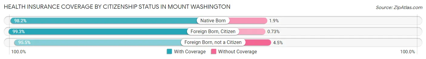 Health Insurance Coverage by Citizenship Status in Mount Washington