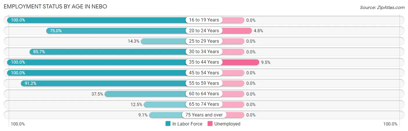Employment Status by Age in Nebo