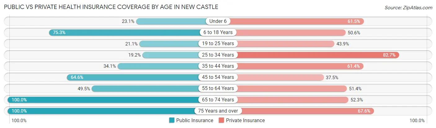 Public vs Private Health Insurance Coverage by Age in New Castle