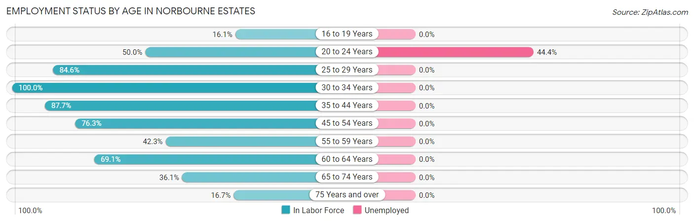 Employment Status by Age in Norbourne Estates