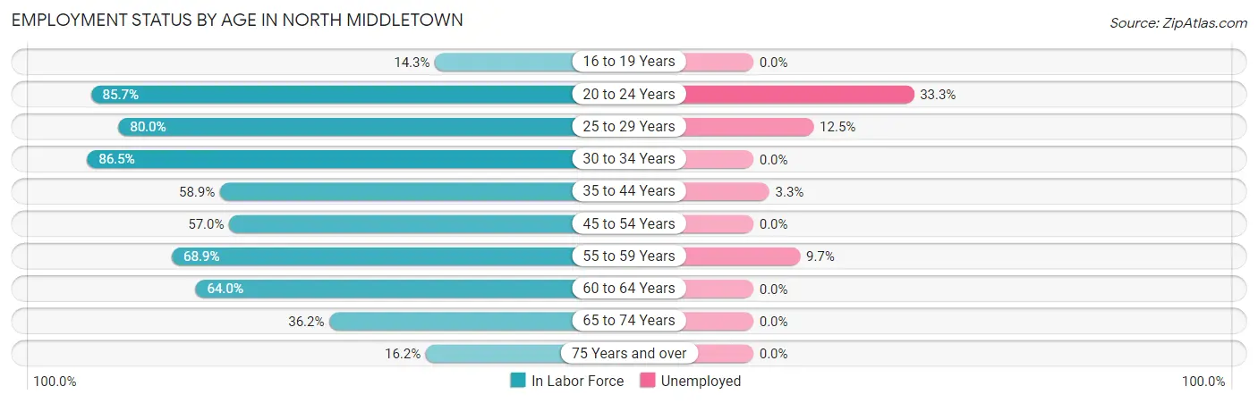 Employment Status by Age in North Middletown