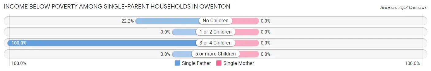 Income Below Poverty Among Single-Parent Households in Owenton