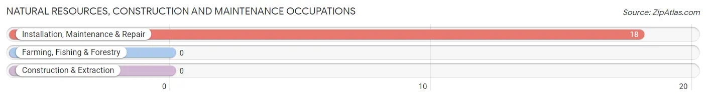 Natural Resources, Construction and Maintenance Occupations in Paintsville