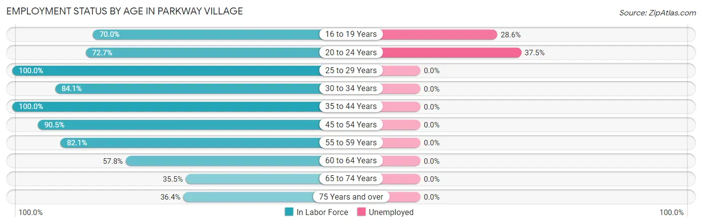 Employment Status by Age in Parkway Village