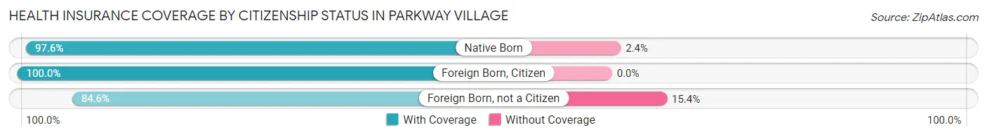 Health Insurance Coverage by Citizenship Status in Parkway Village