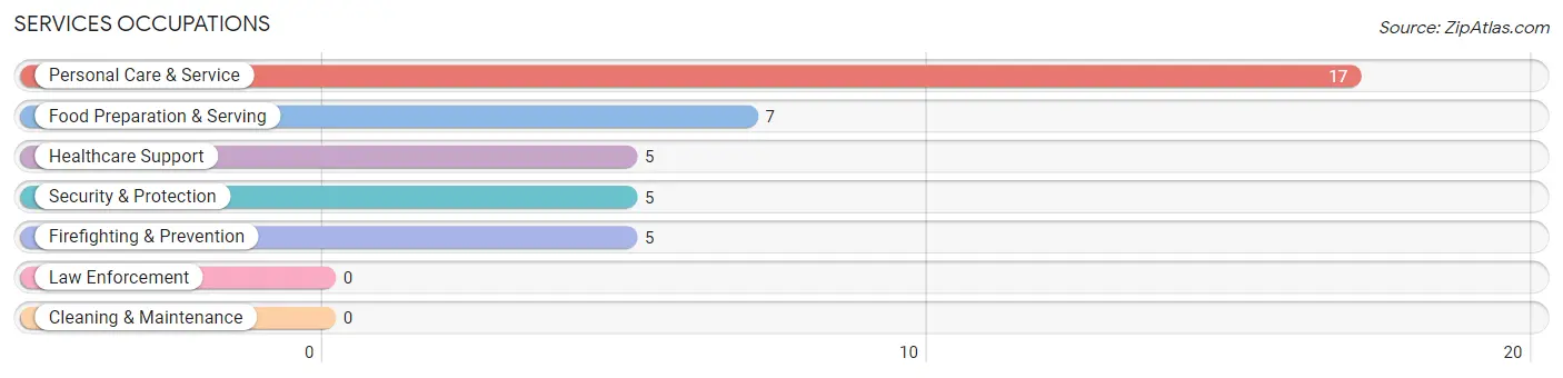 Services Occupations in Parkway Village