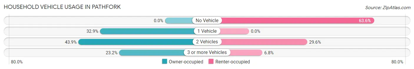 Household Vehicle Usage in Pathfork