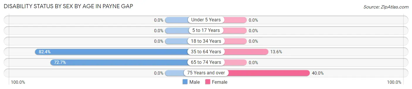 Disability Status by Sex by Age in Payne Gap