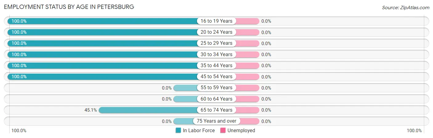 Employment Status by Age in Petersburg