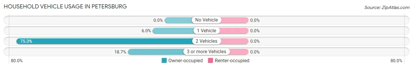 Household Vehicle Usage in Petersburg