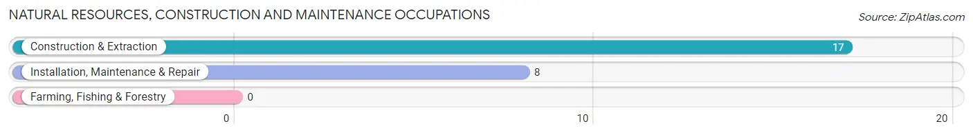 Natural Resources, Construction and Maintenance Occupations in Petersburg