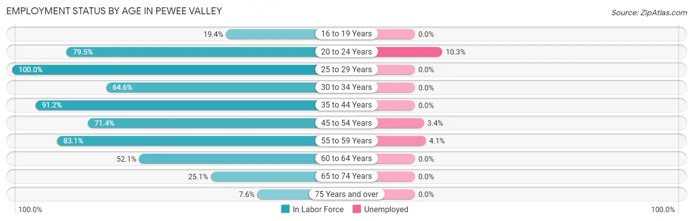 Employment Status by Age in Pewee Valley