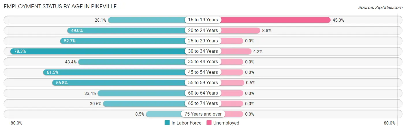 Employment Status by Age in Pikeville