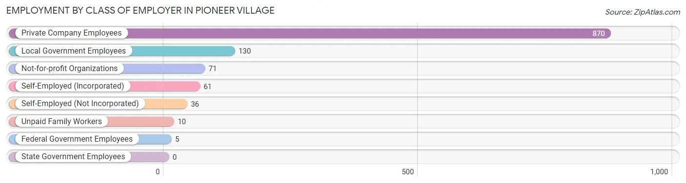Employment by Class of Employer in Pioneer Village