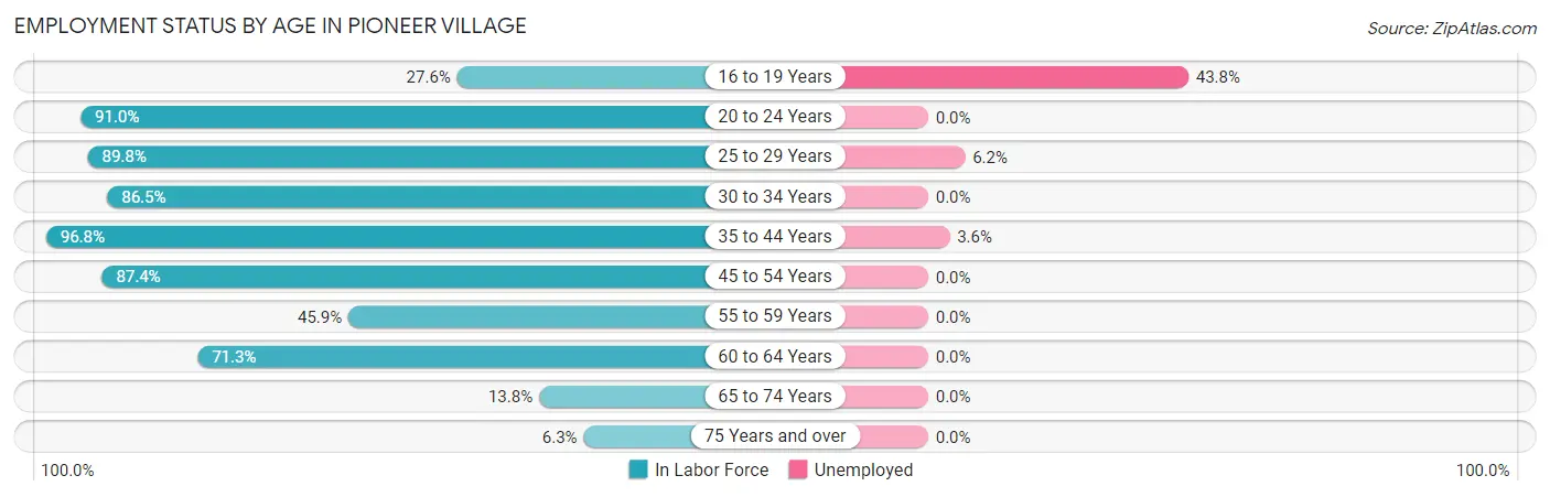 Employment Status by Age in Pioneer Village