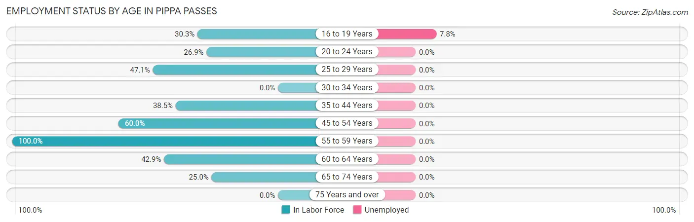 Employment Status by Age in Pippa Passes