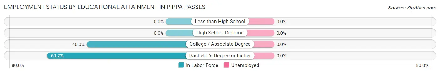 Employment Status by Educational Attainment in Pippa Passes
