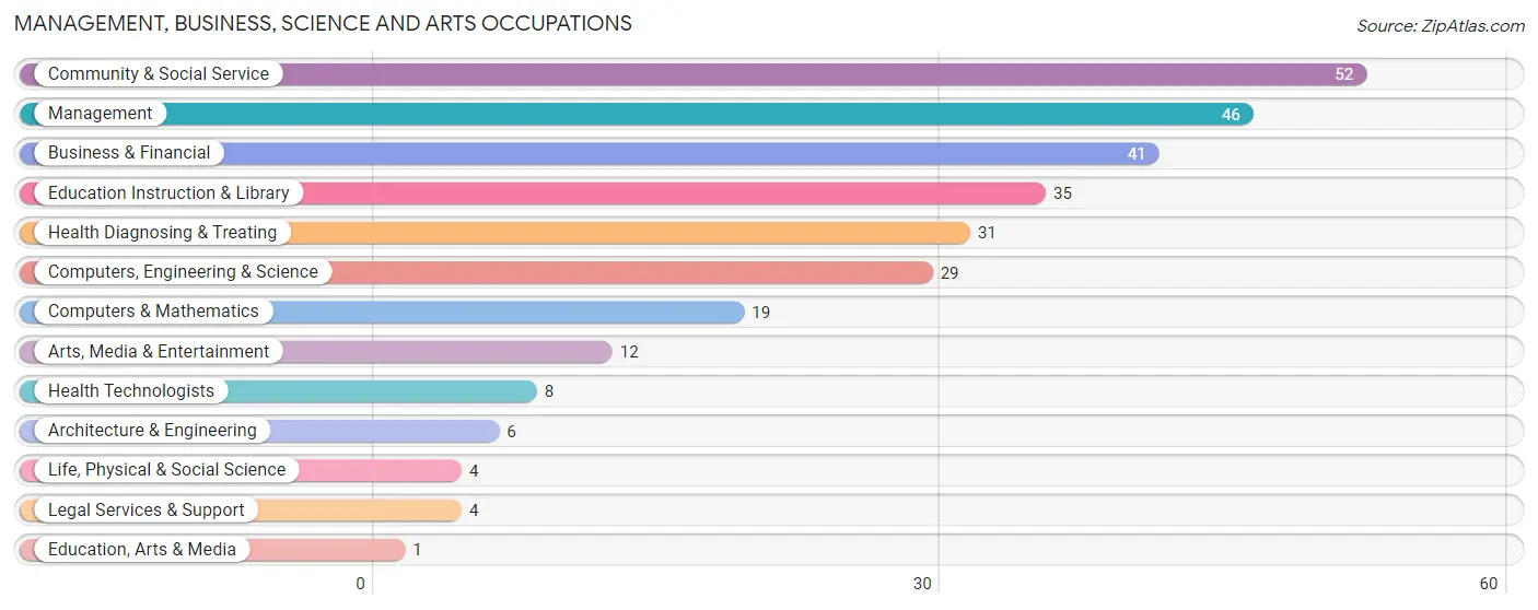 Management, Business, Science and Arts Occupations in Plantation