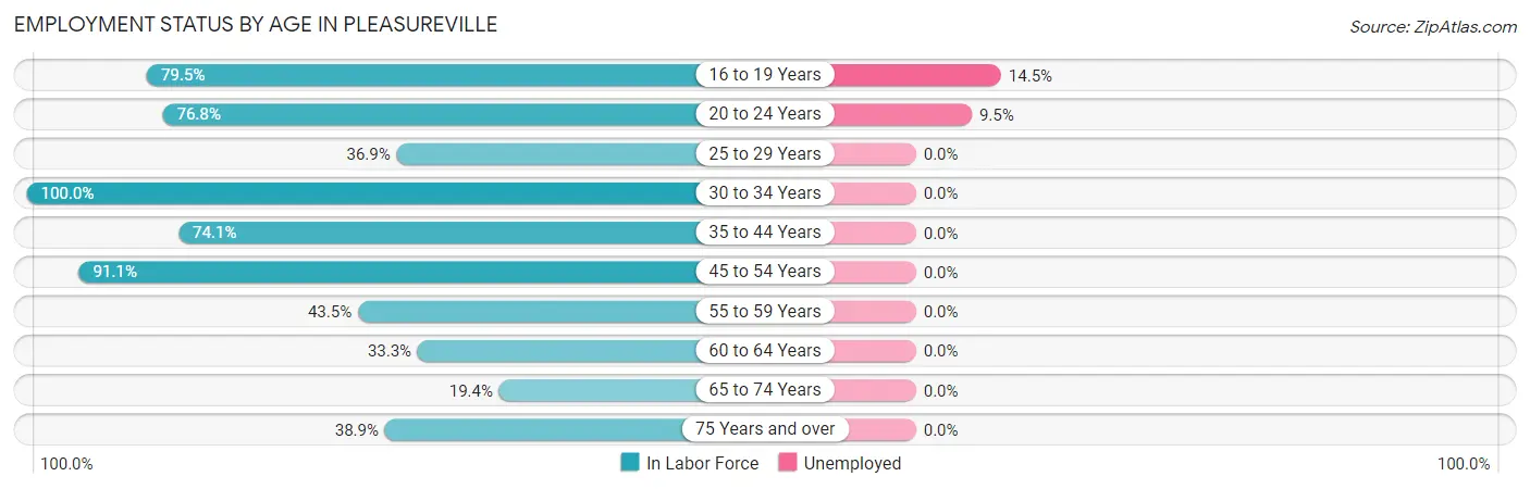 Employment Status by Age in Pleasureville