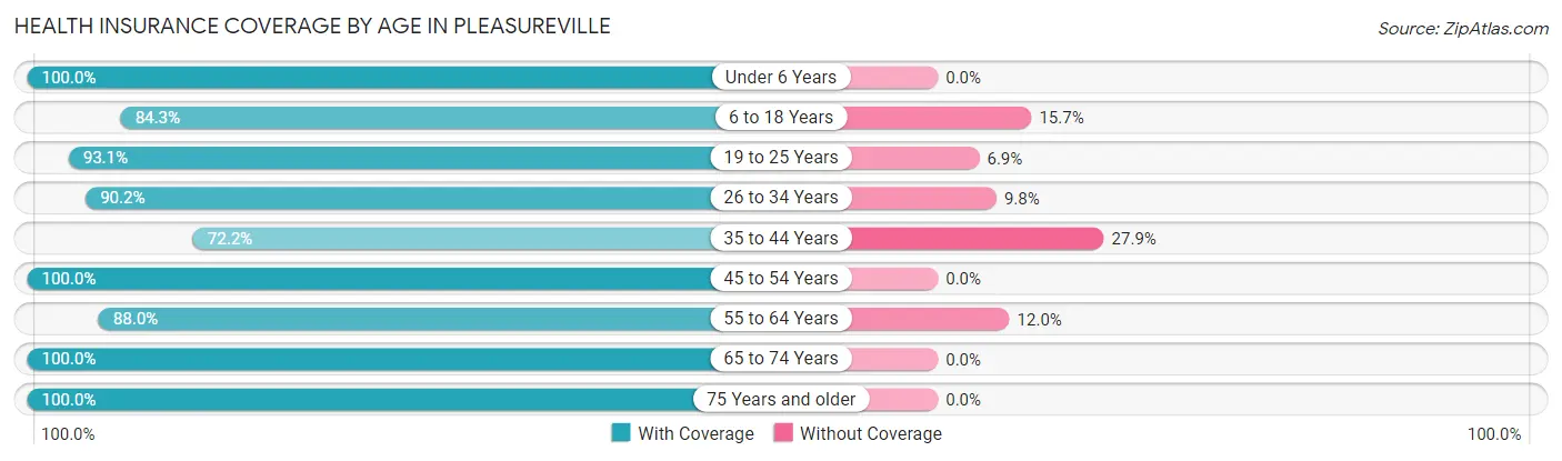 Health Insurance Coverage by Age in Pleasureville