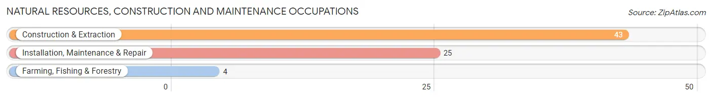 Natural Resources, Construction and Maintenance Occupations in Pleasureville