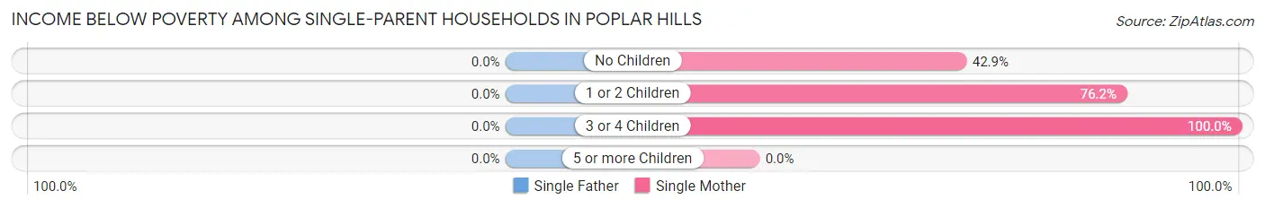 Income Below Poverty Among Single-Parent Households in Poplar Hills
