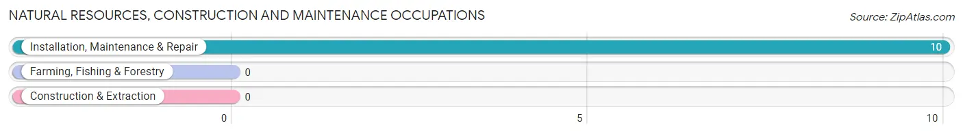 Natural Resources, Construction and Maintenance Occupations in Prospect